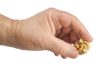 walnut in hand on white background