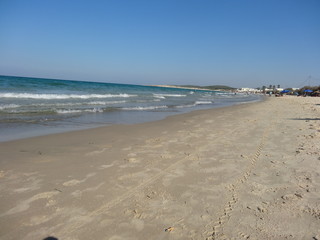 The Mediterranean Sea meets the forest and the sea of tunisia