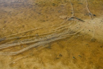 Closeup of stagnant water in an ocean lagoon