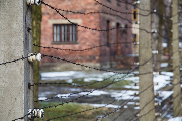 Barbed wire fences amid gloomy winter weather.