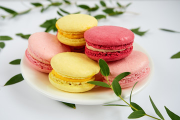 Sweet colorful macarons on a white plate, decorated with green leaves