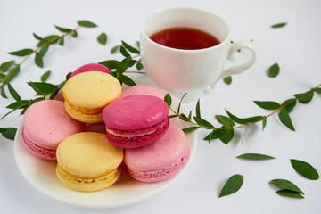 A cup of tea with a macarons on a white background, decorated with green leaves