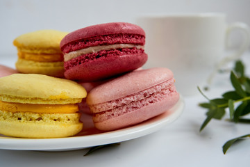 Fototapeta na wymiar A cup of tea with a macarons on a white background, decorated with green leaves
