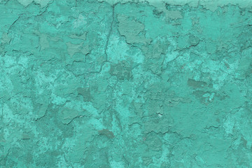 teal wall background