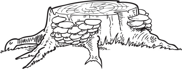 Illustration of the  mushrooms in the forest