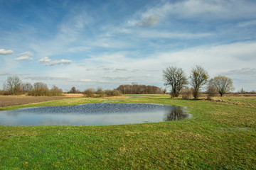 Spring landscape of a meadow, water after rain and blue sky