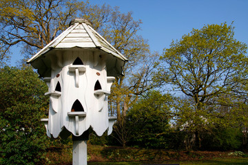 White dovecote birdbox