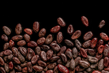 Cocoa beans  isolated on black background. Roasted beans. 