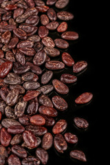 Cocoa beans  isolated on black background. Roasted beans. 