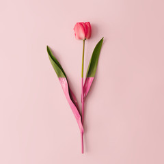 Creative layout made with spring tulip flower dipped in paint on pastel pink background. Minimal...