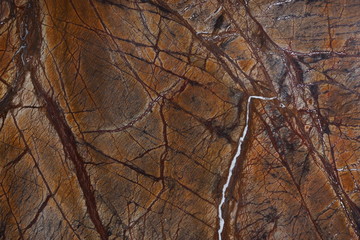 Marble background of orange color with interesting branched veins is called Bidasar Brown