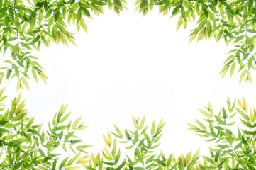 Green leaf border frame for background.