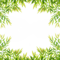 Fototapeta na wymiar Green leaf border frame for background.