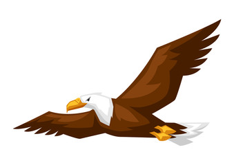 Bald eagle cartoon illustration.