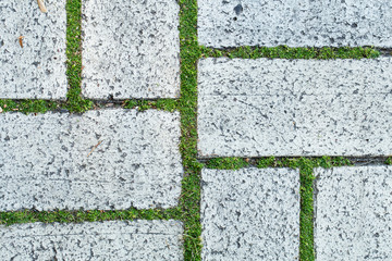 Closeup top view of white old paving slabs and cute tiny green grass growing among them. Horizontal...