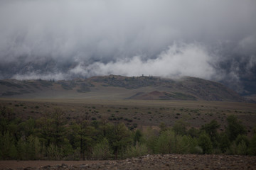 Fog covering the mountain forests. Green atmospheric mountains
