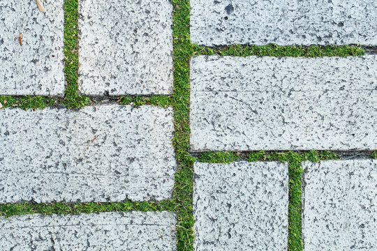 Closeup top view of white old paving slabs and cute tiny green grass growing among them. Horizontal color photografy.
