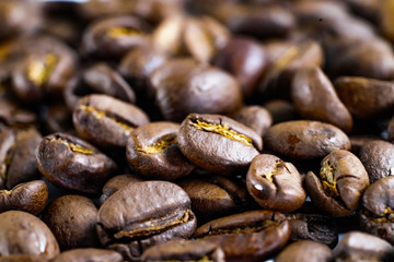 Coffee bean medium roasted