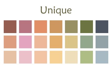 Unique Palette Tone Vector