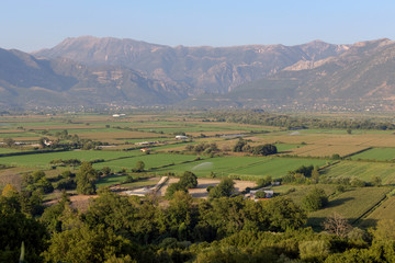 Fototapeta na wymiar Agriculture. Corn growing (Fanariu valley, Epirus, Greece)