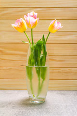 Spring romantic concept. Gentle tulip in glass vase on wooden stone background. Card, wallpaper, copy space.