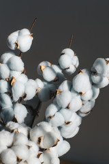 A bouquet of cotton on a wooden table.