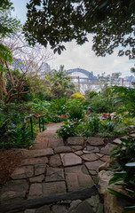 garden with plants and trees