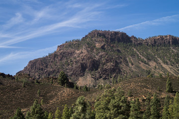 Fototapeta na wymiar Mountain ridge with spruce trees