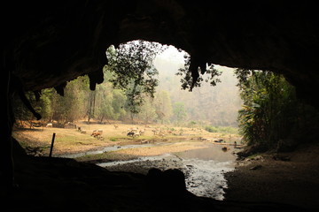wide angle panoramic view showing the opening of a cave, Thum Lod cave, Bang Ma Pha, in Northern Thailand. Touristed cave with stalagmites and stalactites and a river running thru it.