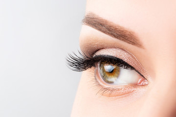 Woman eye with long eyelashes, beautiful makeup and light brown eyebrow close-up. Eyelash extensions, lamination, microblading, cosmetology, ophthalmology concept. Good vision, clear skin.