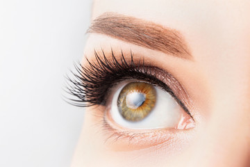 Female eye with long eyelashes, beautiful makeup and light brown eyebrow close-up. Eyelash...