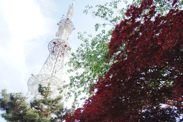 단풍과 송신탑
