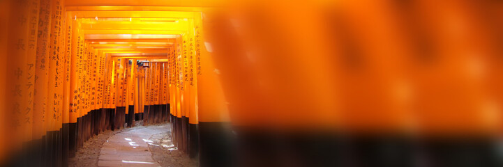 Fushimi inari shinto temple in Kyoto, orange torii gate tunnel panoramic japan background