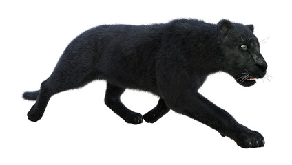 3D Rendering Black Panther on White