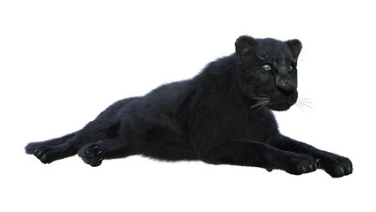 3D Rendering Black Panther on White