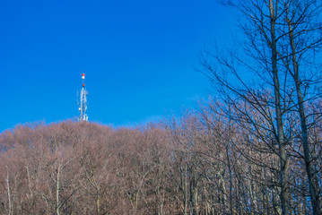 Obraz premium Radio tower in the middle of trees on top of the hill.