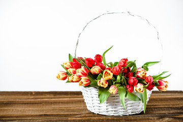Fototapeta na wymiar Spring easter tulip flowers in a basket isolated on white background. Mothers day card.