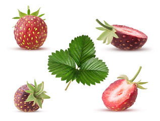 Set wiild strawberry with leaf
