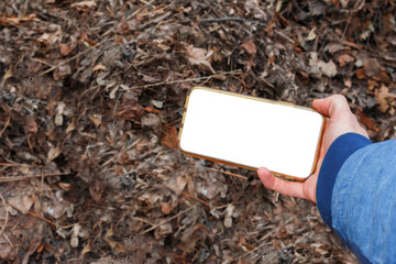 hand holding a smartphone with empty white screen against the background of fallen leaves