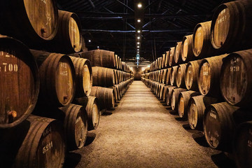 Old aged traditional wooden barrels with wine in a vault lined up in cool and dark cellar in Italy,...