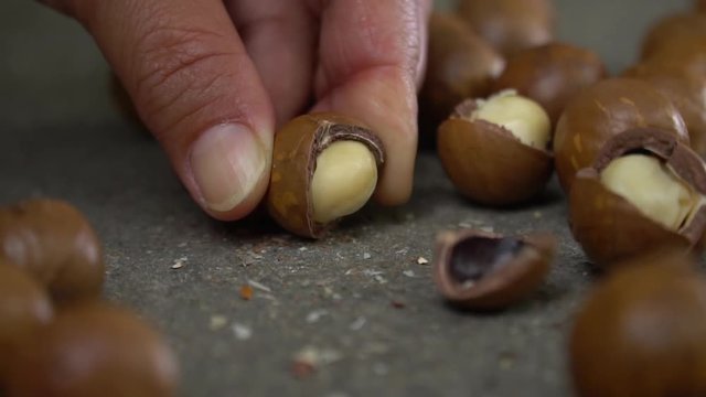How to open roasted macadamias shell with hammer on table, selective focus and toned image. Healthy food concept, slow motion and free space for text.