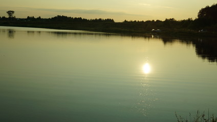 Summer landscape, pond and forest on the horizon.