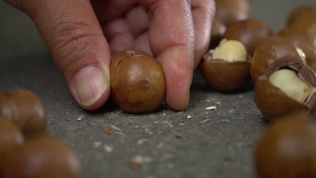 How to open roasted macadamias shell with hammer on table, selective focus and toned image. Healthy food concept, slow motion and free space for text.