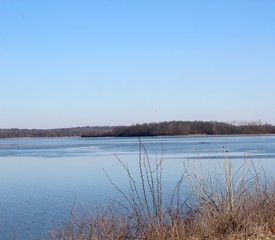 A beauty view of the lake from the lake shore.