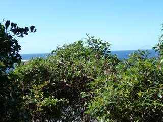 Tsitsikamma Nationalpark
