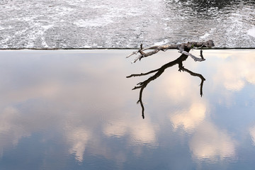 A snag lies on the edge of a dam in a calm water zone.