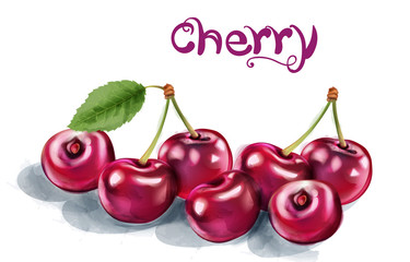 Cherry Vector watercolor. Fresh juicy aromatic fruits isolated on whites