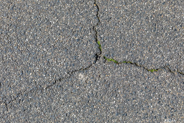 Risse im Asphalt, Straße