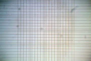 yeast enumeration chamber