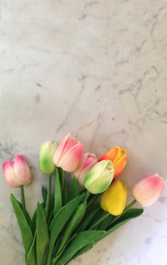 tulip flowers on kitchen table. colorful tulips flowers